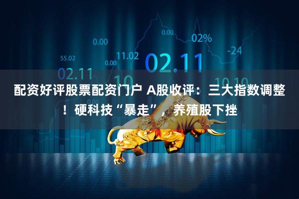 配资好评股票配资门户 A股收评：三大指数调整！硬科技“暴走”，养殖股下挫